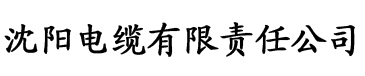 中文理论电影在线观看电缆厂logo